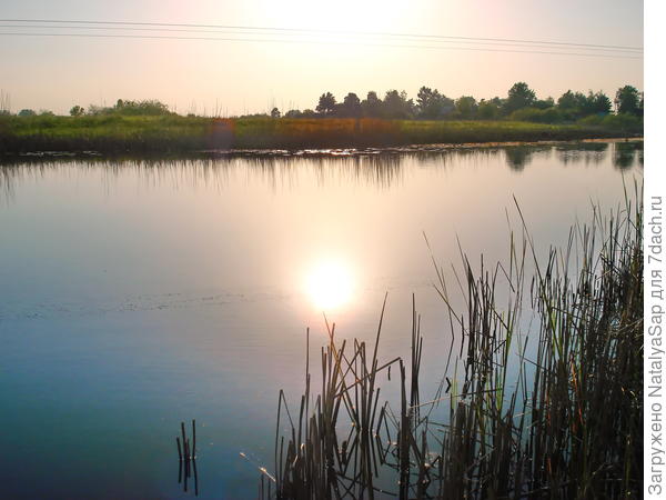 Вот оно какое, весеннее солнце!