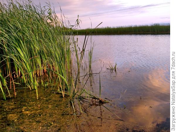 В речке плещутся облака...