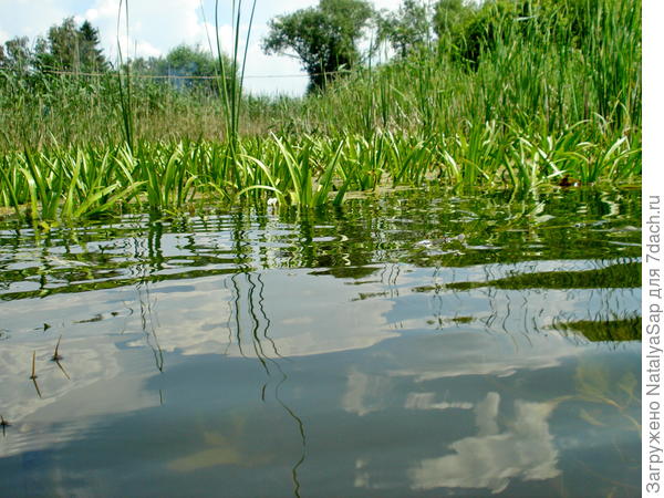 Украшенная небом гладь воды