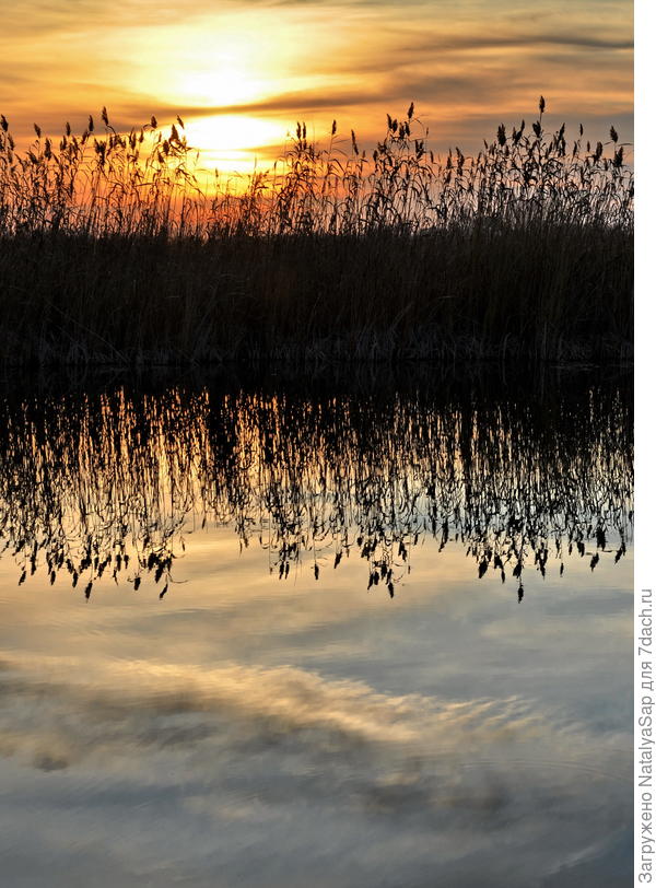 Во время заката