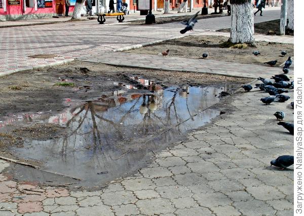 Немного весеннего голубого среди серого городского