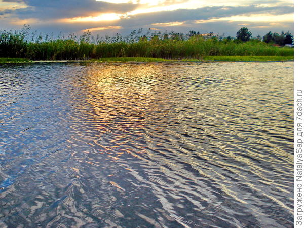 Расплавленное золото заката