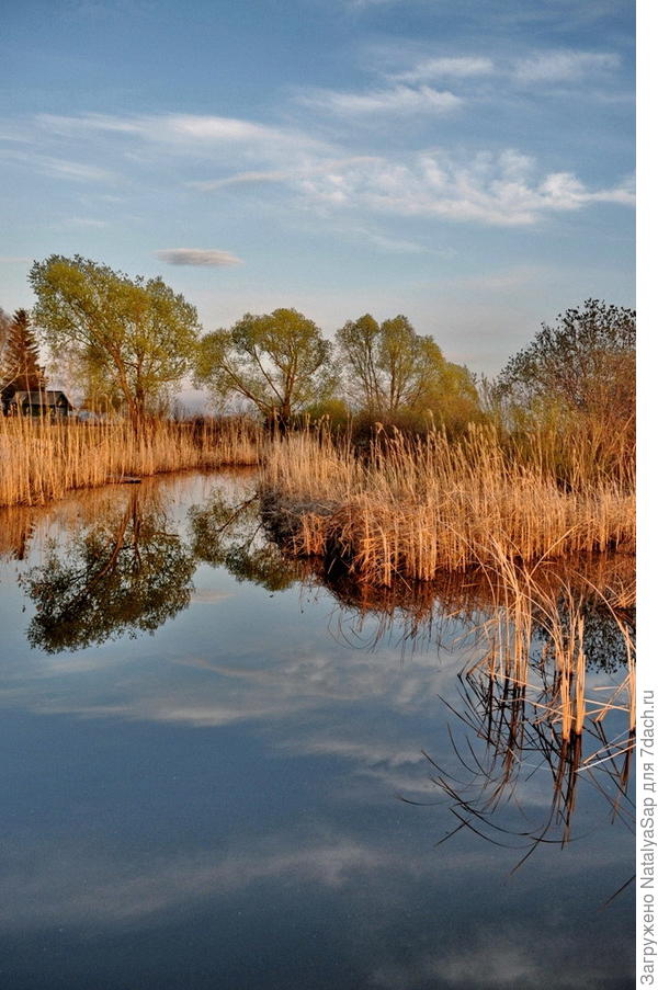 Отражение весны