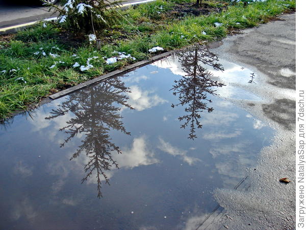 Живопись на осеннем тротуаре