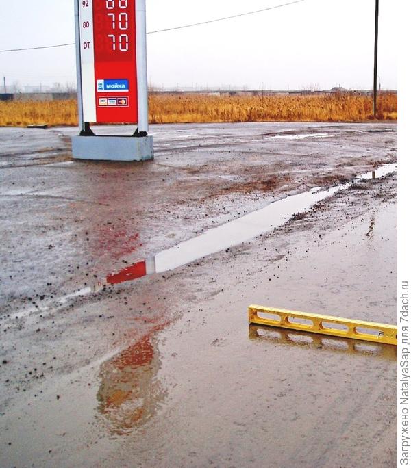 Пересекают лужу отражения...