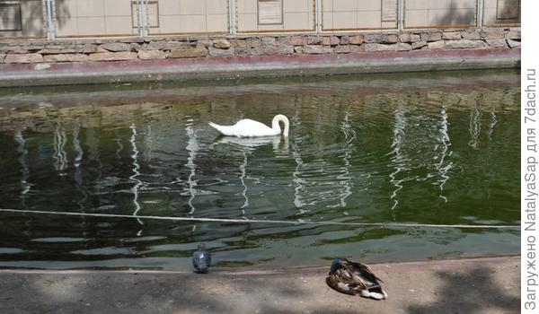 Что-то нашёл!