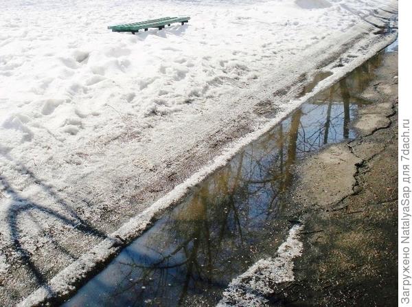 Бордюр начала весны