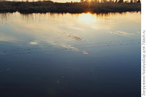 Солнечный вброс