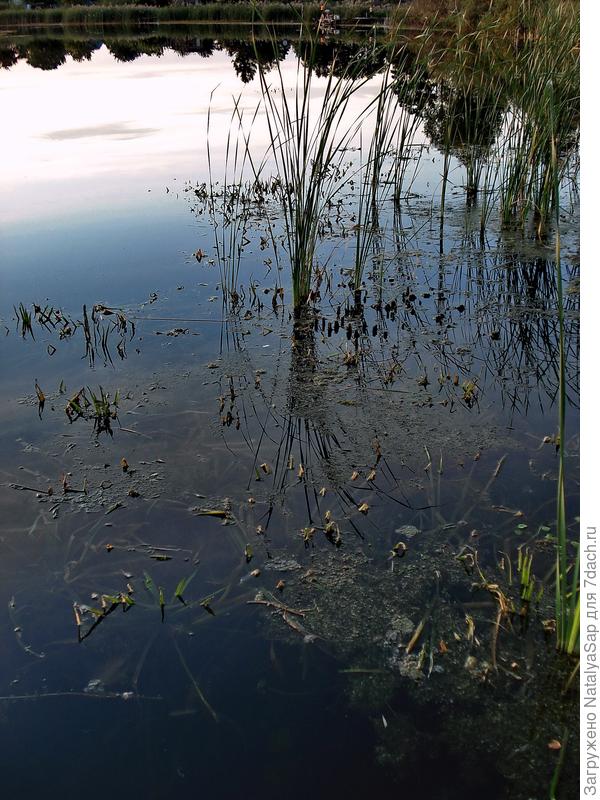 Небесная грань на воде