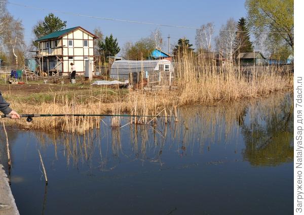 Тишина, безветрие...вот закину удочку - может, кто-то клюнет!