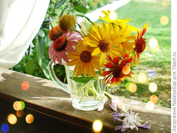 Лето, ах, лето!..