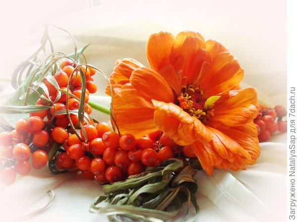 У осени яркие краски