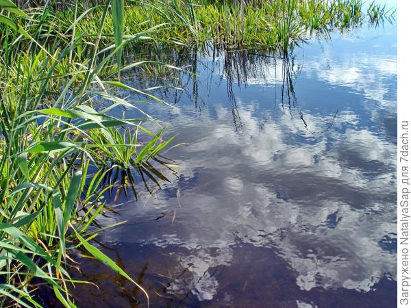 Стоишь у реки, смотришь на зеркало воды, а там изображение всё время меняется! И такие краски, что просто загляденье! Вот где отдых для души!