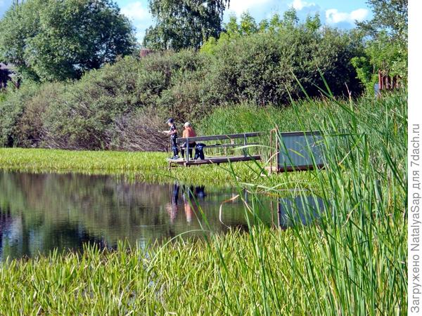 Летняя рыбалка