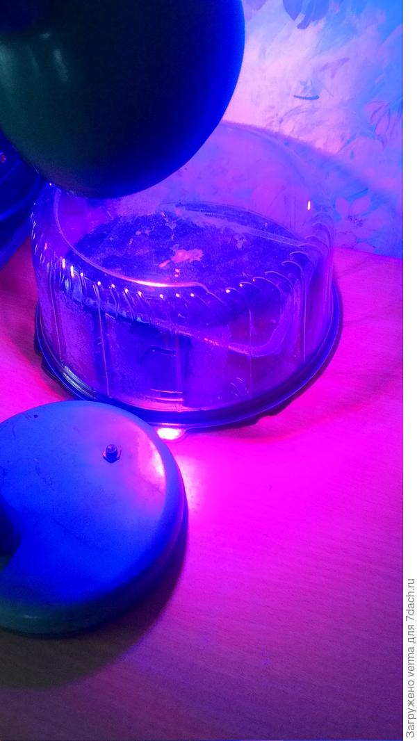 Вот так близко...