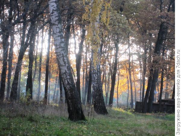 осенний пейзаж