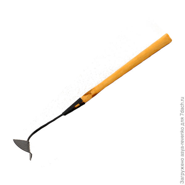 фото из интернета