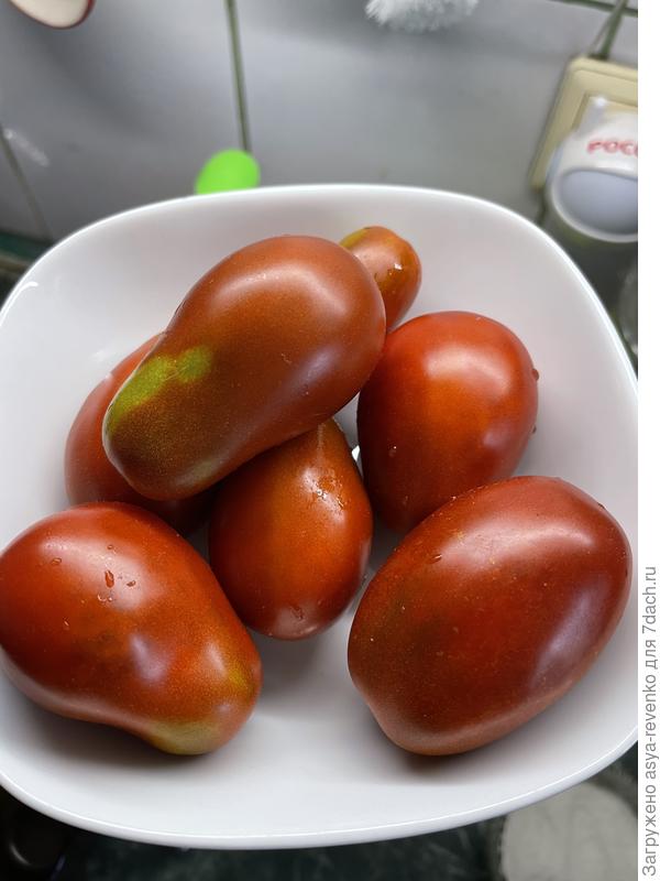 Вкусные лампочки