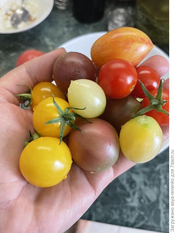 Россыпь  томатных самоцветов