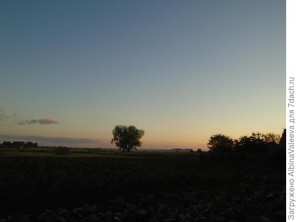 Вот какую красоту видно с нашего крыльца!
