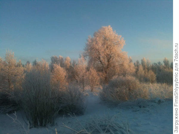 Зимнее Вярьмово
