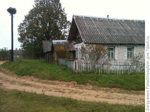 Дом возле лучшего колодца в деревне. Видно гнездо аистов и вдалеке мой домишко