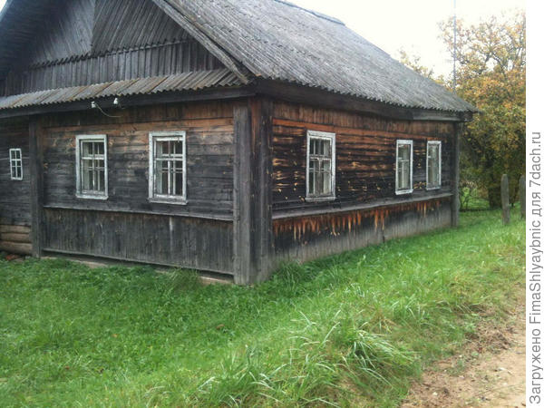 Дом Толяя. Обкошен.