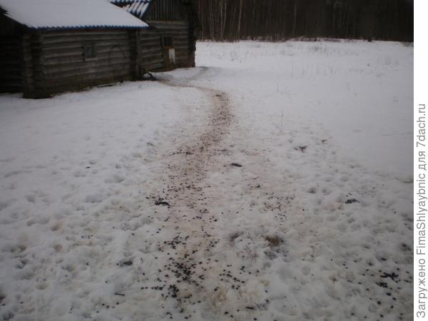 Долгая дорога к хлеву