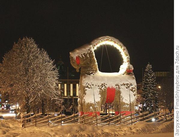 Евльский козел. Фото с сайта mnn.com