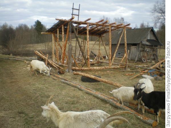 Осталось доложить два ряда шифера