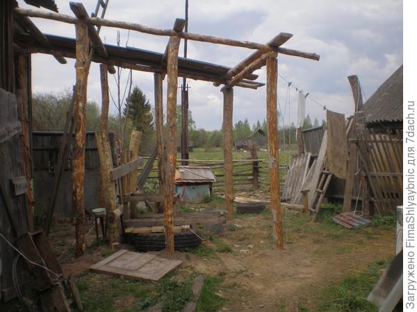 Этапы козоводства