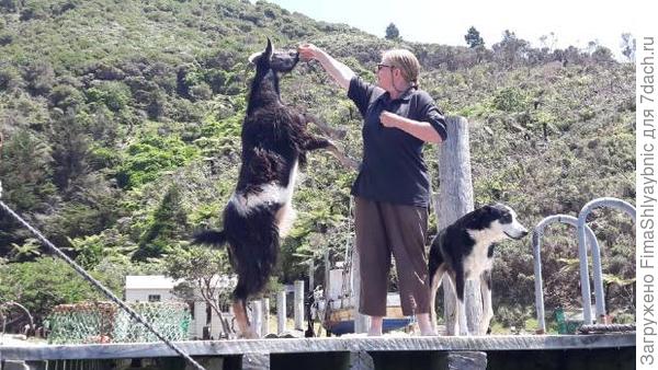 Билли Боинг, Натали и собака. Фото с сайта stuff.co.nz