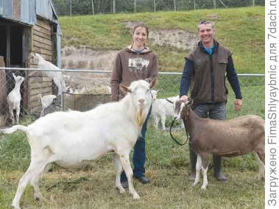 Новозеландские фермеры со своими животными. Фото с сайта ruralnewsgroup.co.nz