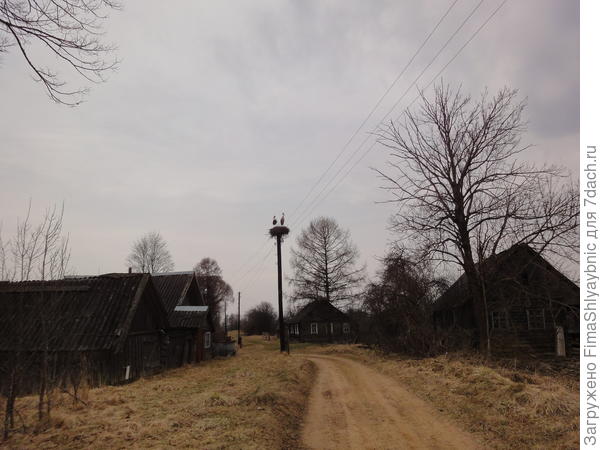 Сегодня утром. Темно правда.