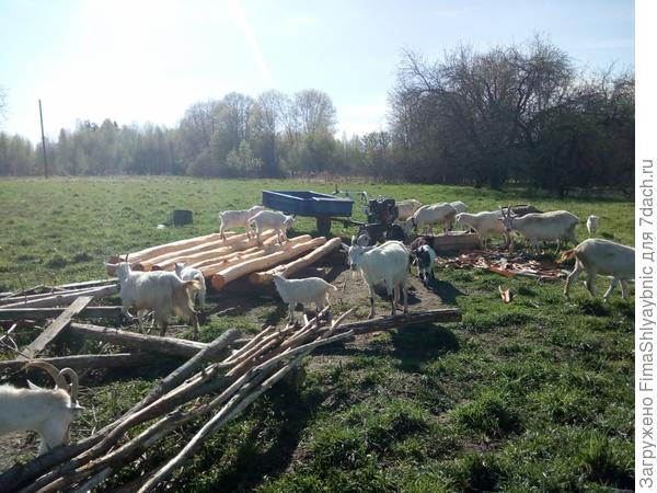 Полдень. Двадцать первый век.