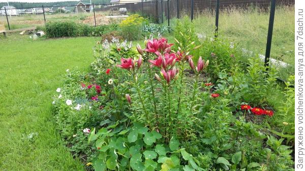 Дело рук нашей мамы!