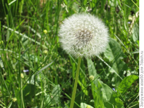 Перед полетом