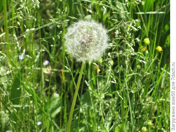 Попутного ветра