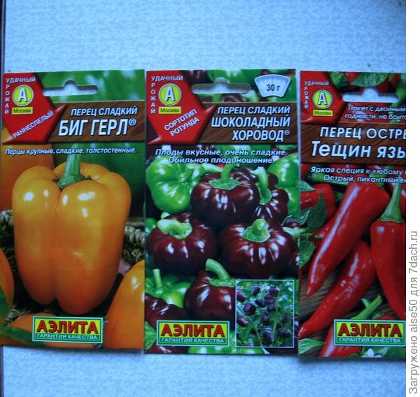 Эти перчики завтра будут посеяны