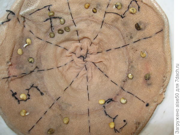 Вкладка проращивателя.