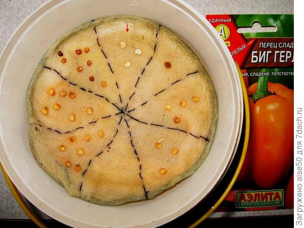 повторный
