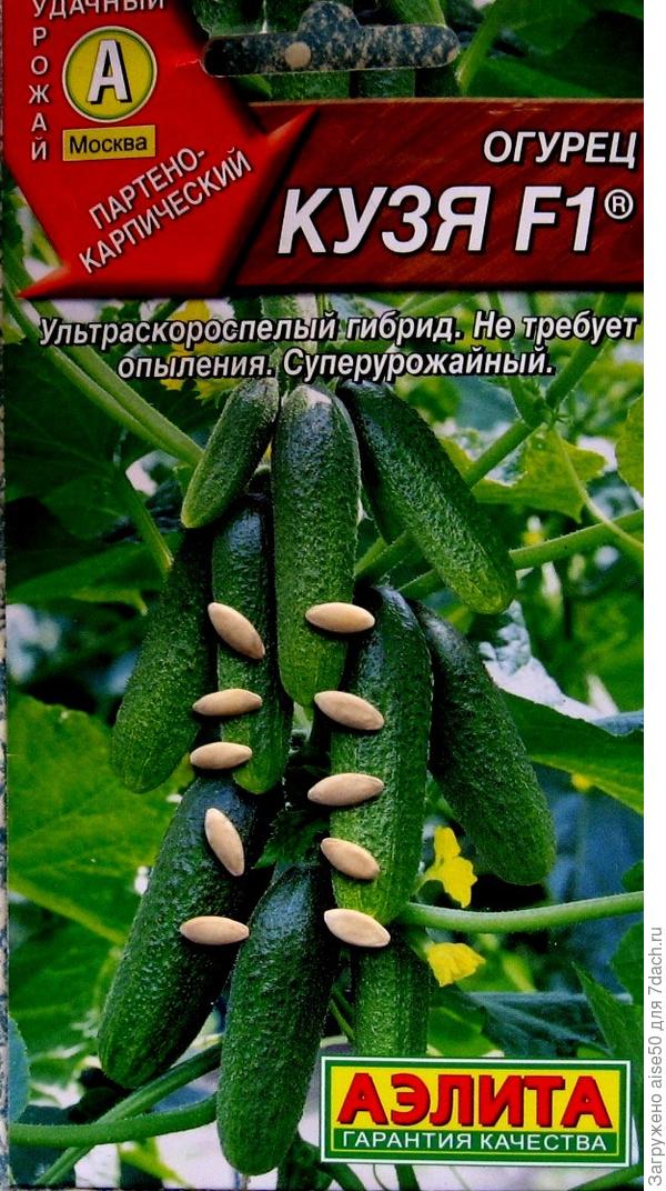 Кузя