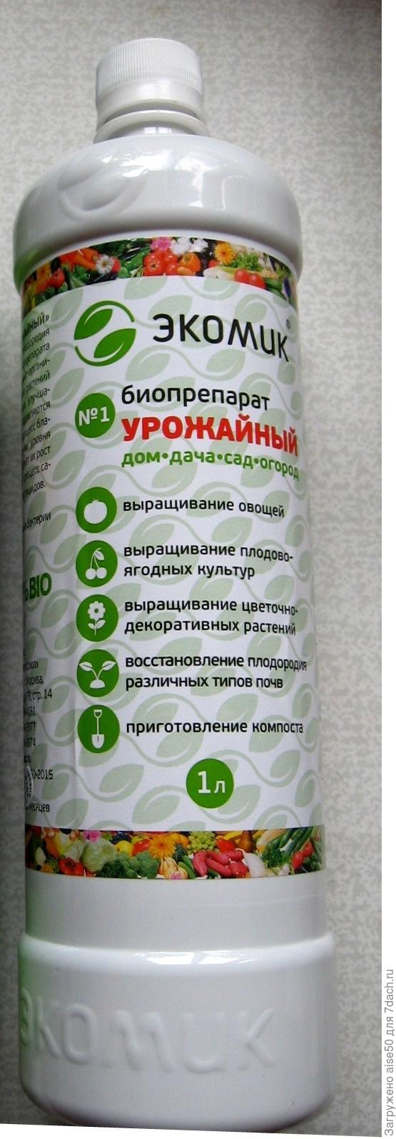 Экомик