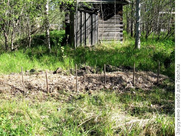 Теплая грядка еще не закончена, а парник уже начинаю устанавливать