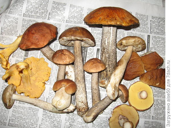 Отделяем благородные