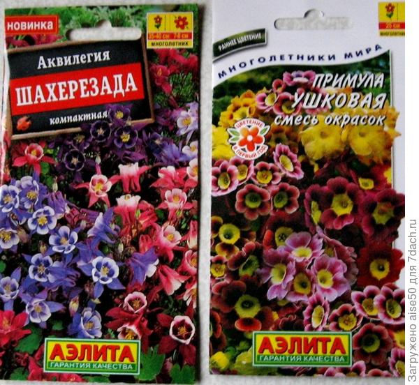 мои любимицы