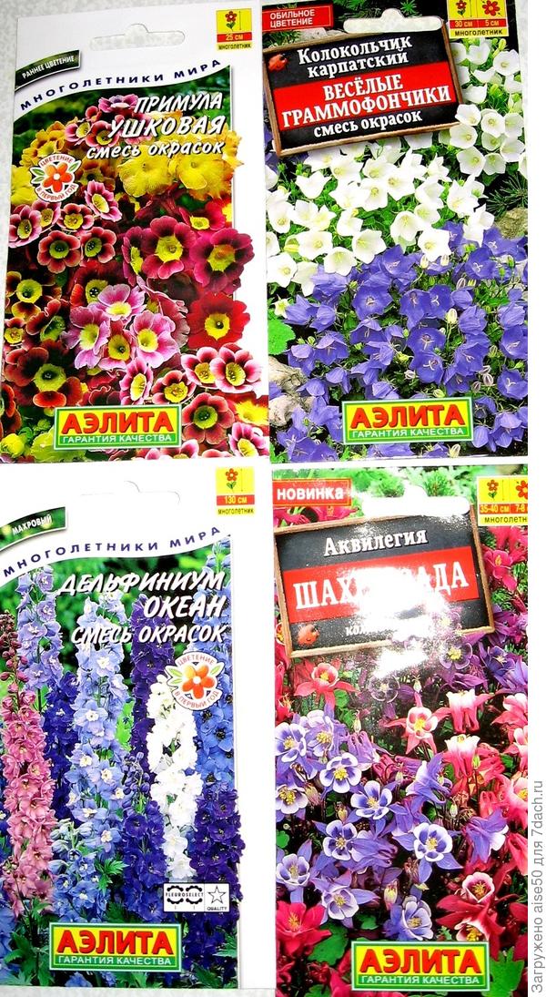 Подарочные семена от Аэлиты