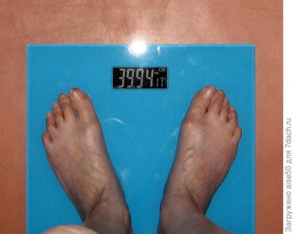 мой предновогодний привес