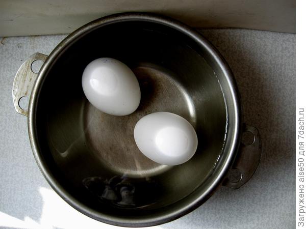 Для полива можно использовать остывшую воду после варки яиц
