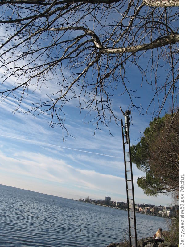 Дорога в небо